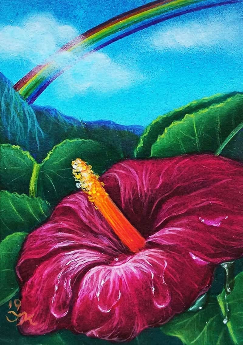 Rainbow of hibiscus